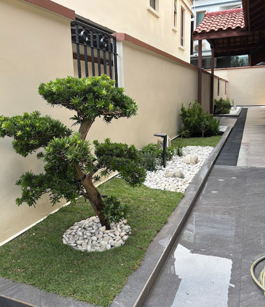 Residential garden installation with white pebbles and tropical plants