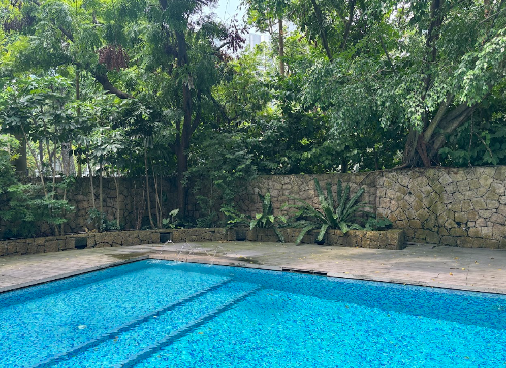 Tropical pool landscape with stone wall and ferns