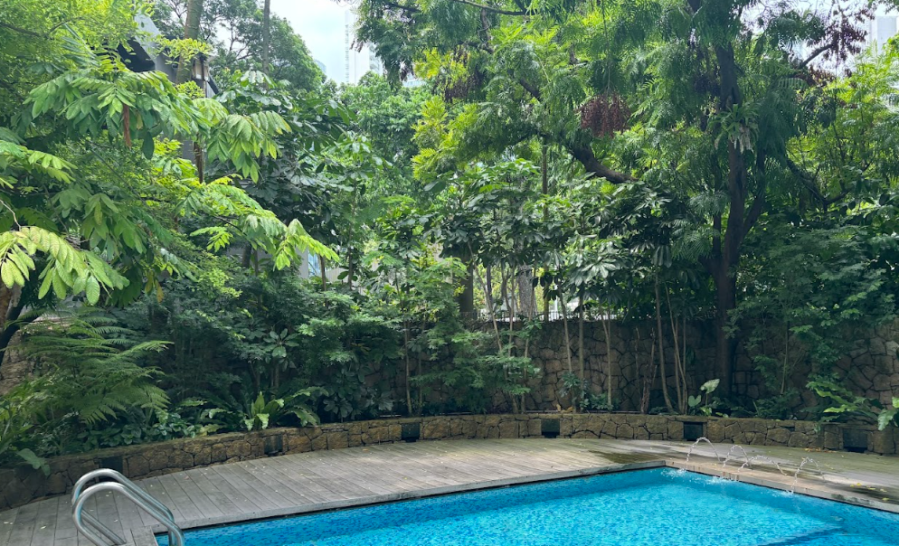 Lush tropical poolside garden surrounded by mature greenery