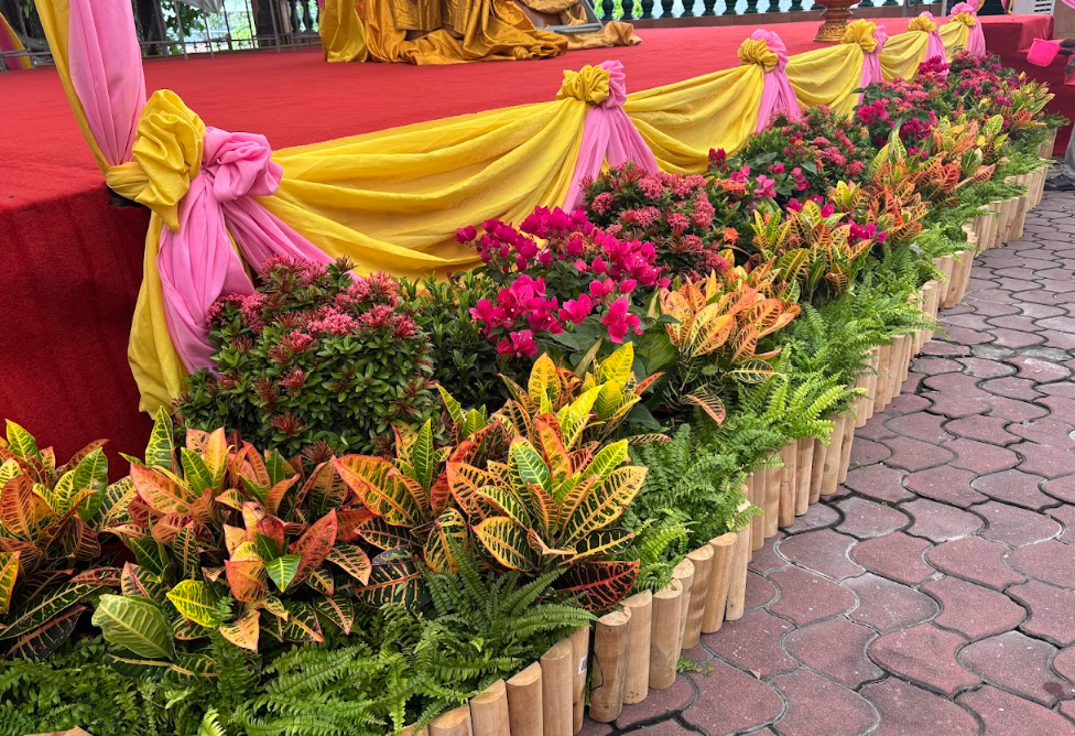 Corporate venue entrance with bamboo log planters, crotons, ferns and bougainvillea