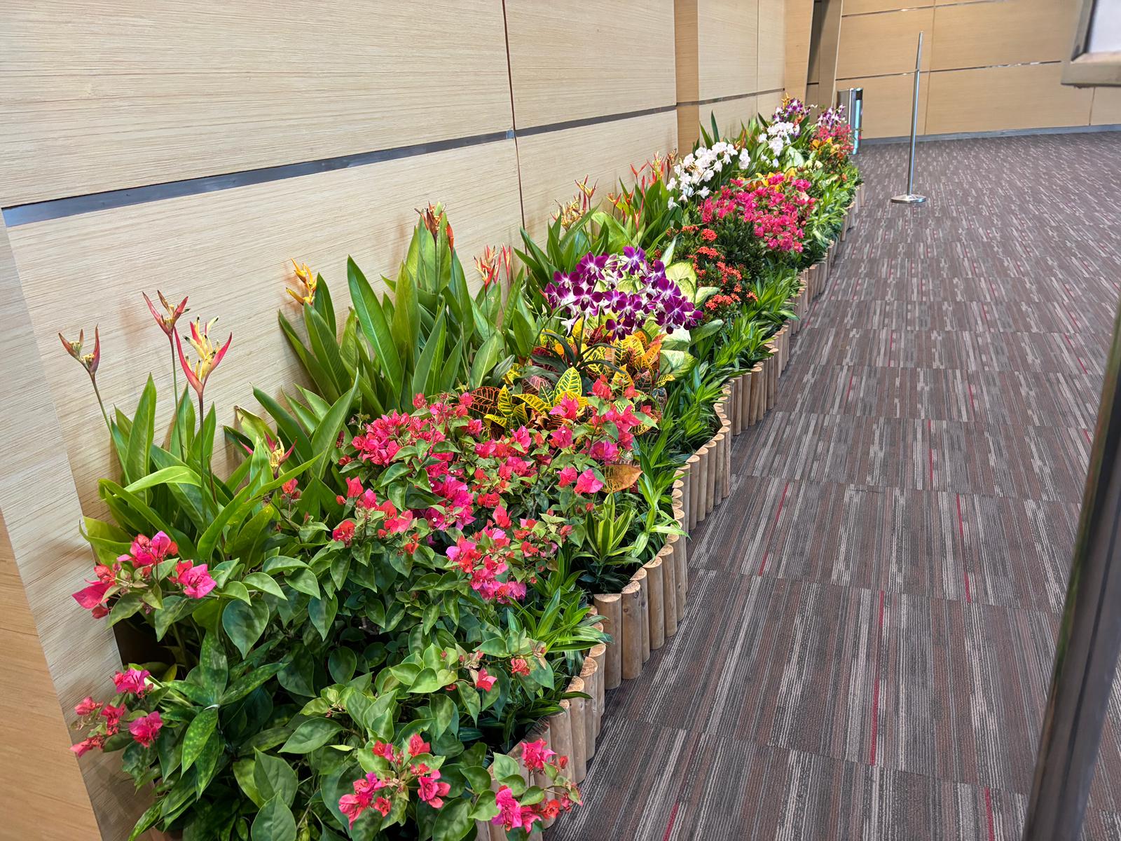 Convention corridor lined with floral planters