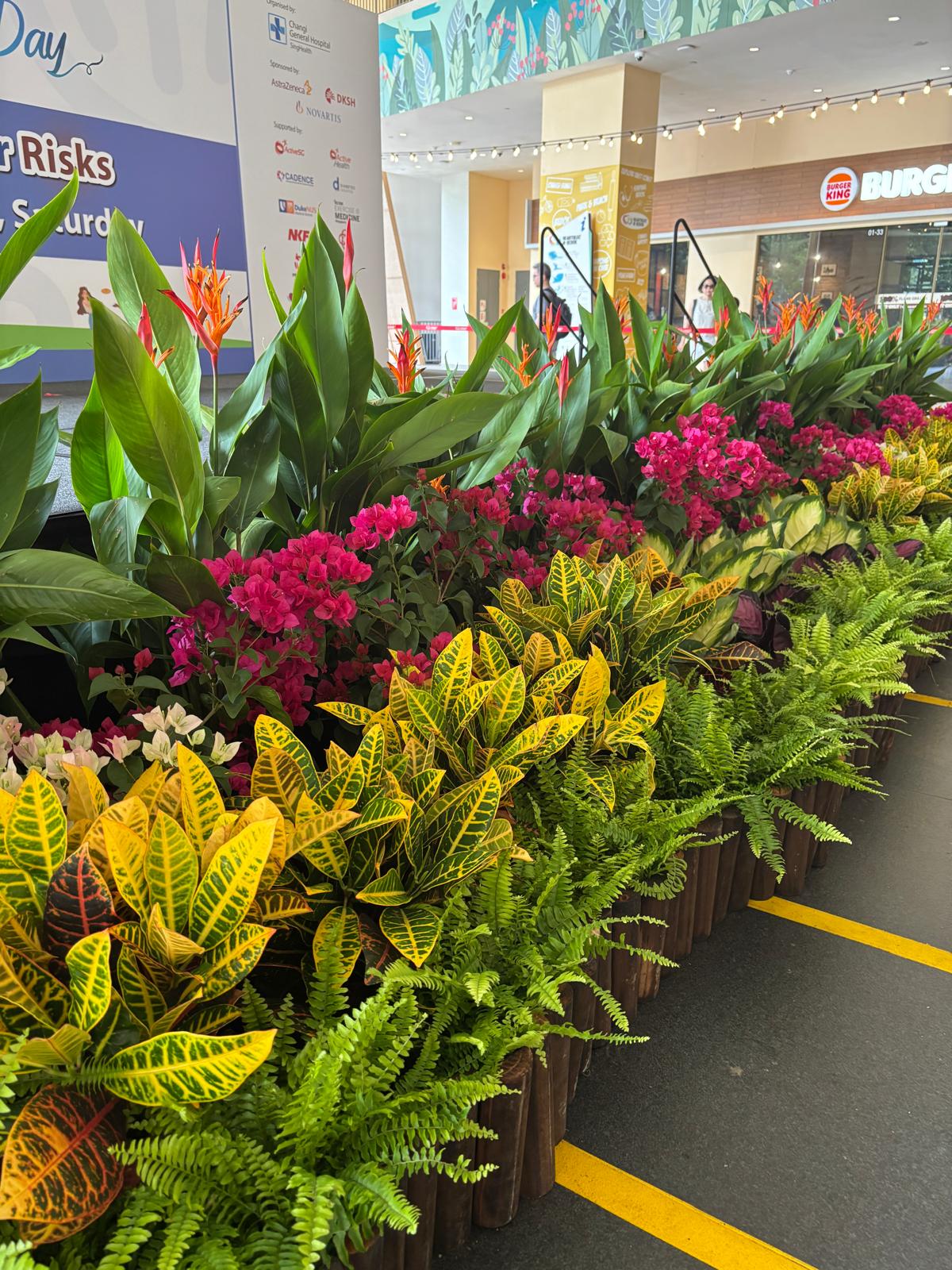 Corporate venue entrance with tropical statement planters